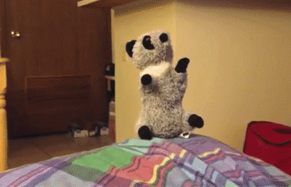 cat-steal-toy.gif