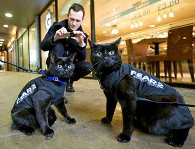 cat_police_FEAR2.jpg