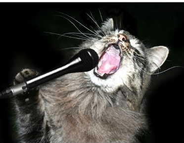 cats+do+sing.PNG