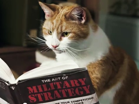 cats-with-thumbs-cravendale-military-strategy.jpg