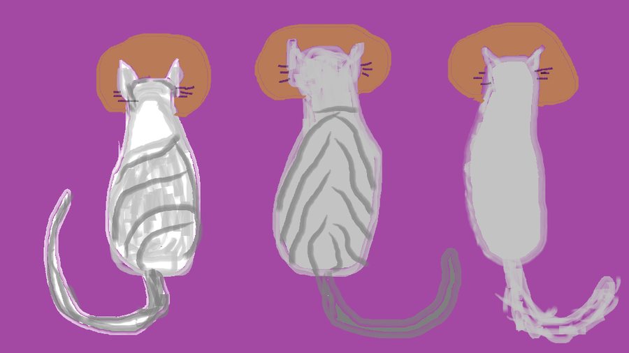 catseating.png