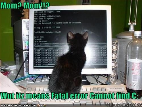 cattails-fatal_error.jpg