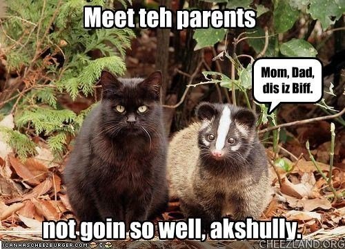 cattails-meet_teh_parents - Copy.jpg
