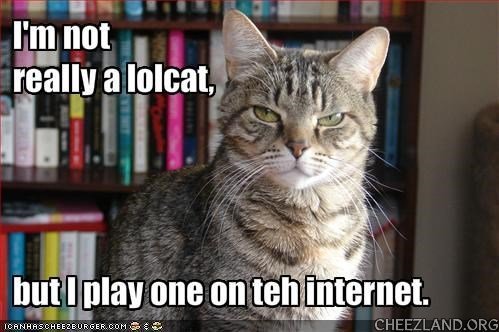 cattails-play_one_on_internet.jpg