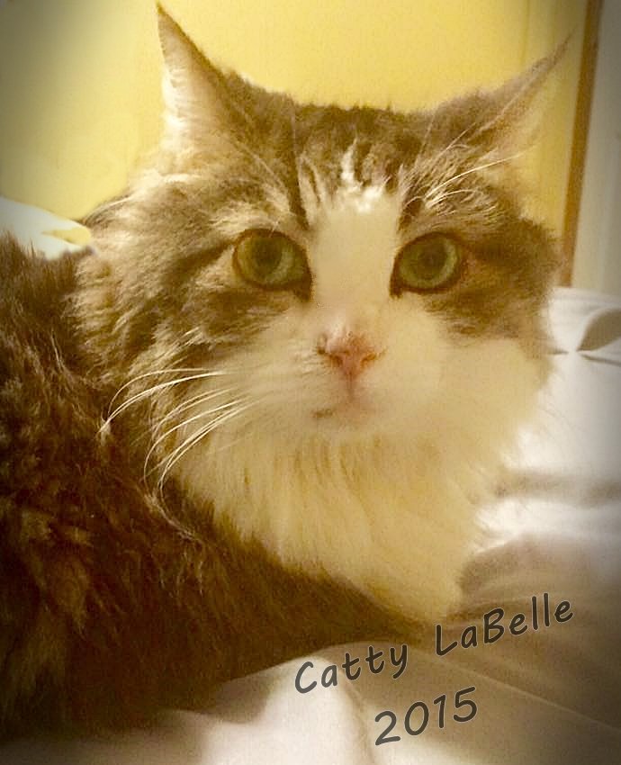 Catty LaBelle 2015.jpg