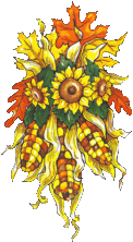 corn sunflowers.gif