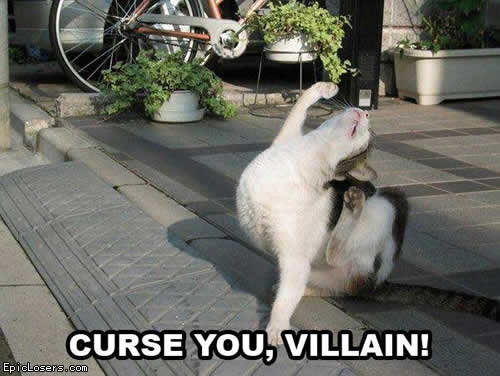 Curse-you-villain-lol-cat-lolcats-epiclosers.jpg