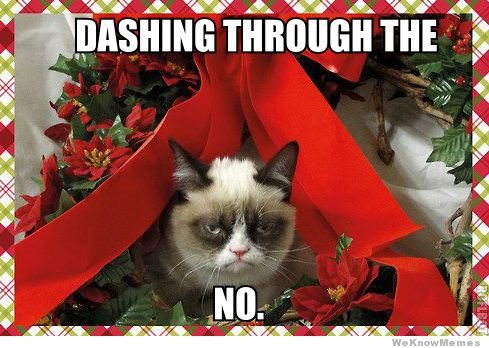 dashing-through-the-no-grumpy-cat-meme.jpg
