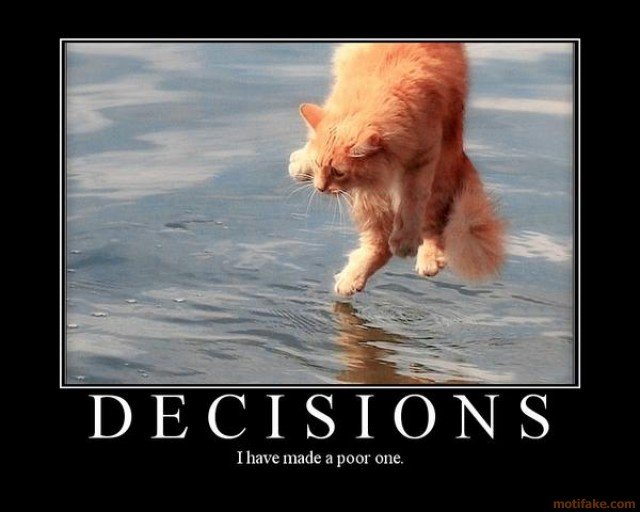 decisions4cat.jpg