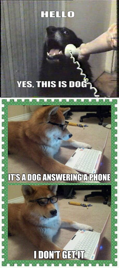 dog-humor-dog-answering-phone.jpg
