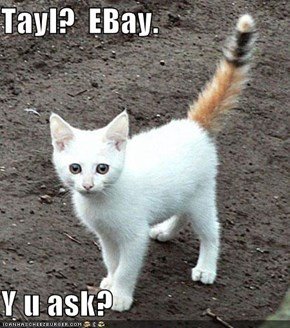 EBay Tail.jpg
