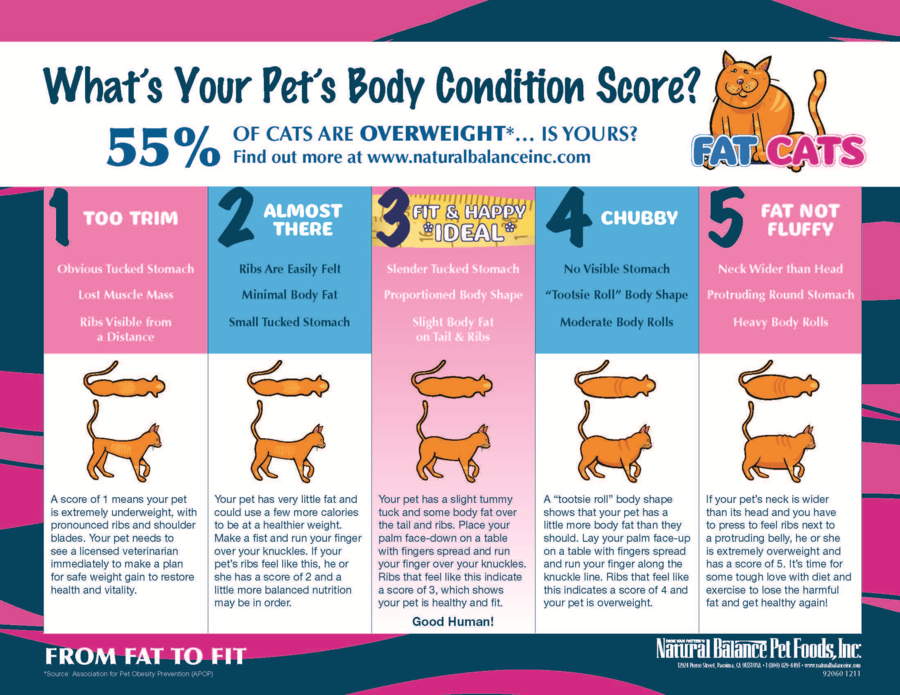 FCFD_BodyConditioning_Chart_1210_FINAL_Page_2.png