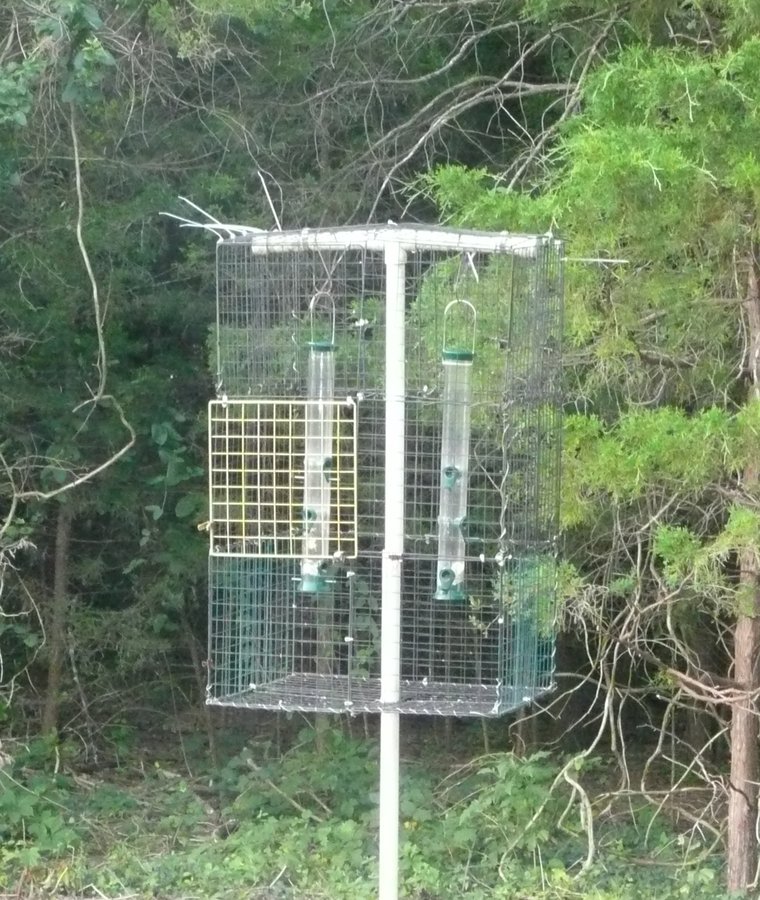 feeder cage.JPG