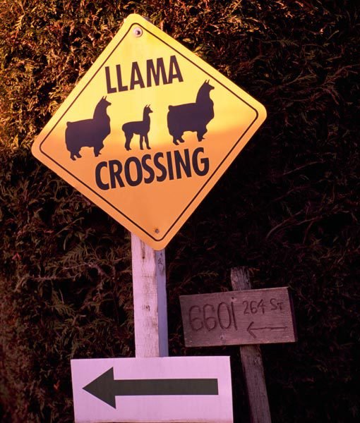 funny-animal-crossing-signs-13-510x600.jpg