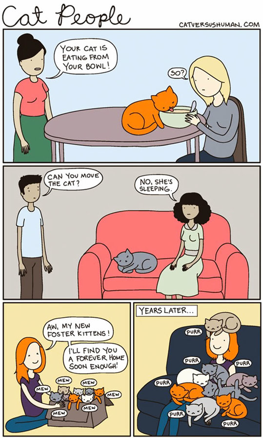 funny-cat-comics-cat-vs-human-4-579b04142b017__605