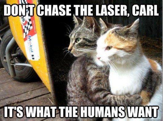 Funny-Cat-Meme-Cheer-Up-7.jpg