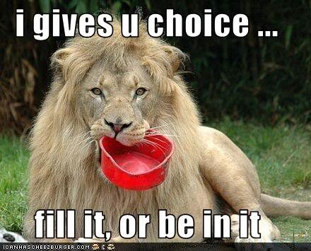 funny-pictures-lion-gives-you-a-cho.jpg