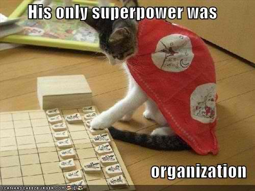 funny-pictures-organization-superhero-cat.jpg