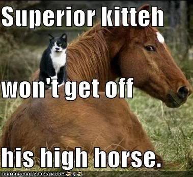 funny-pictures-superior-cat-on-hors.jpg