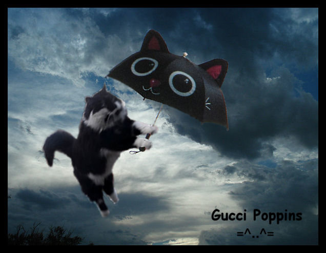 Gucci Poppins.jpg