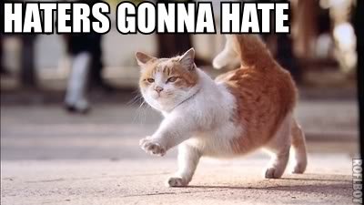 haters-gonna-hate-cat.jpg