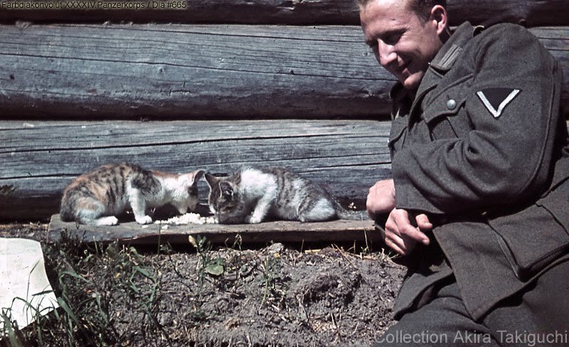 Heer soldier with cat in color.jpg