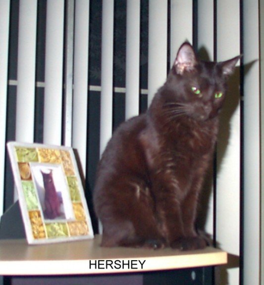 Herhey by pic of Hershey best.jpg