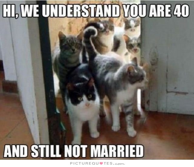hi-we-understand-you-are-40-and-not-married-quote-