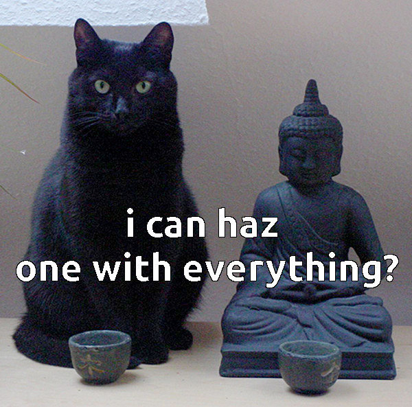 i-can-haz-one-with-everything-wise-black-cat-meme.