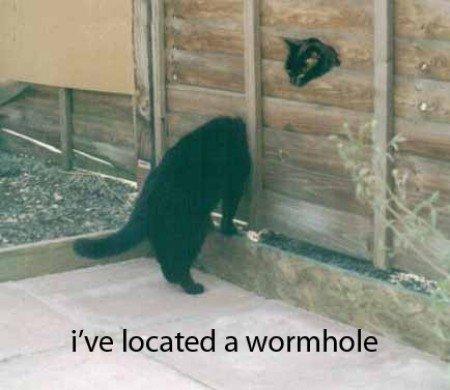 lolcats_wormhole.jpg