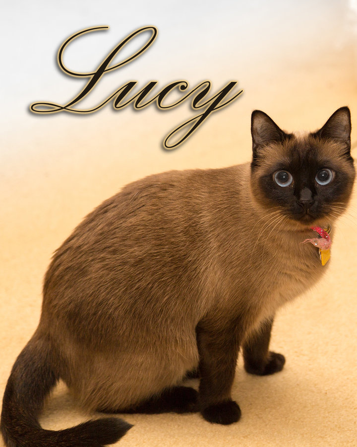 Lucy1Small.jpg