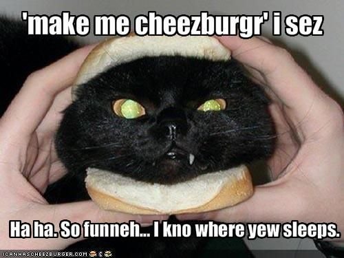 Make me cheezburger.jpg