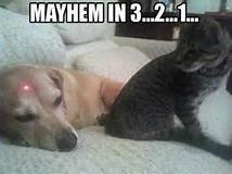 mayhem in 3...2..1....jpg