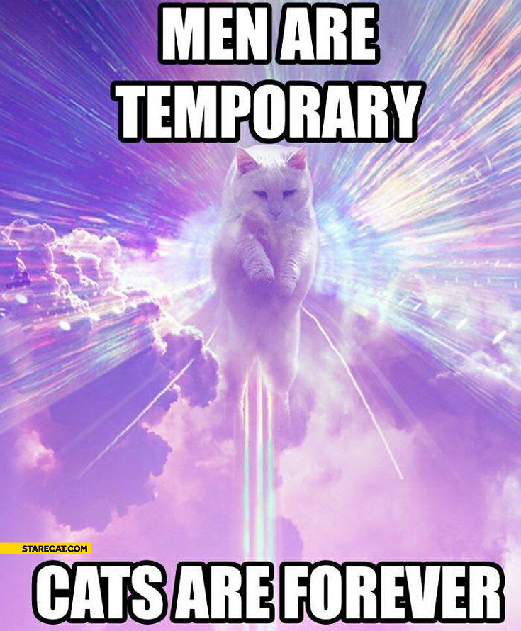 men-are-temporary-cats-are-forever.jpg