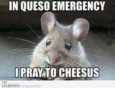 Mouse Prayer.jpg