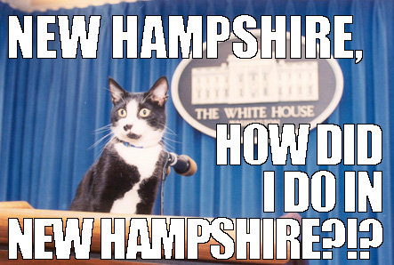 new-hampshire-how-did-we-do-in-new-hampshire-elect