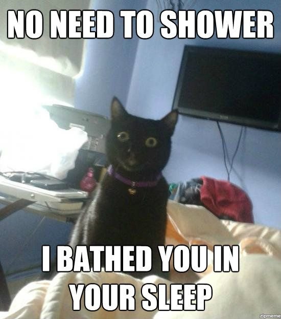 overly-attached-cat_zpsdffc8c06.jpeg