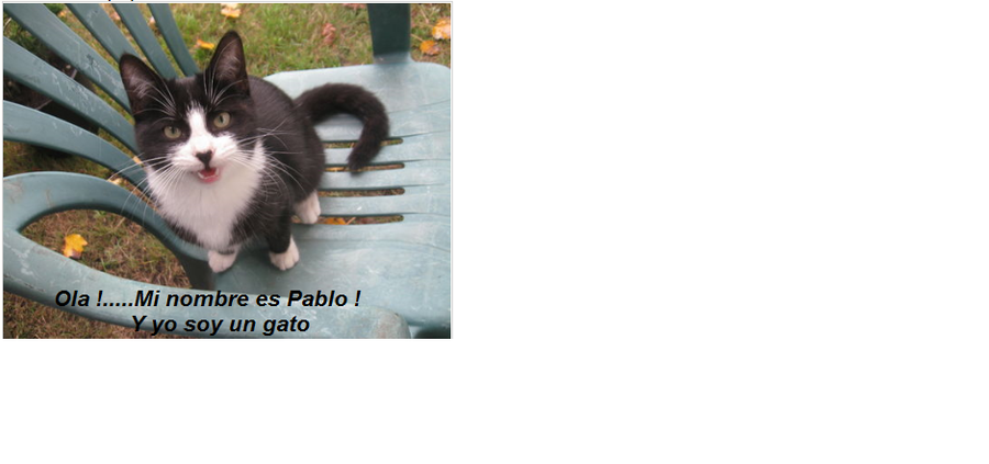 pablo es un gato.png