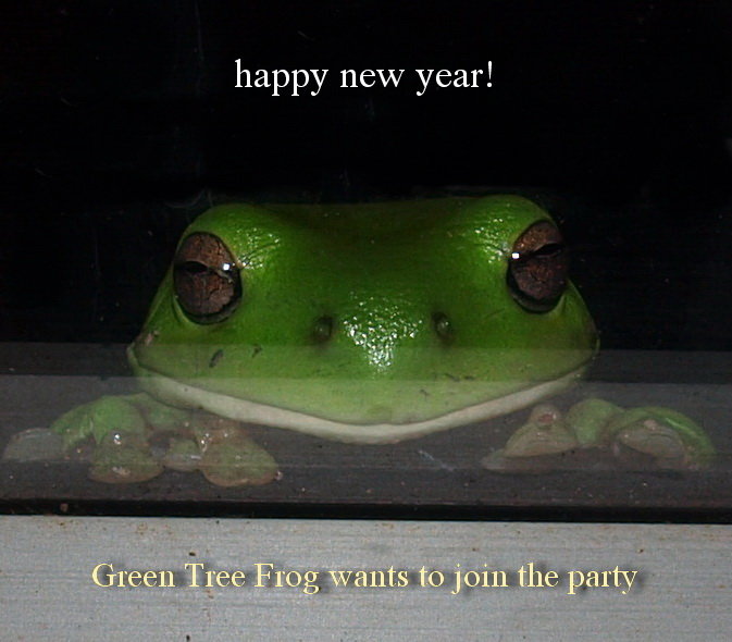 party frog.jpg