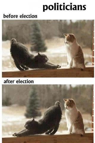 politicians-cats.jpg