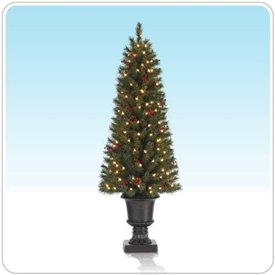 potted-pine-christmas-tree-2T.jpg