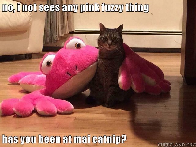 puddy_tat-pink_fuzzy.jpg