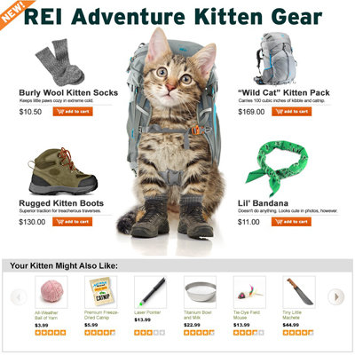 REI-Adventure-Kitten-Gear-AprilFools.jpeg