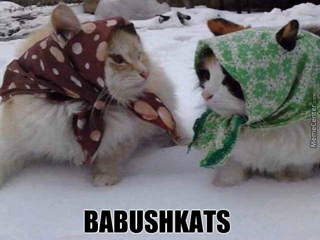 russian-grandma-cats-3_o_3006345.jpg