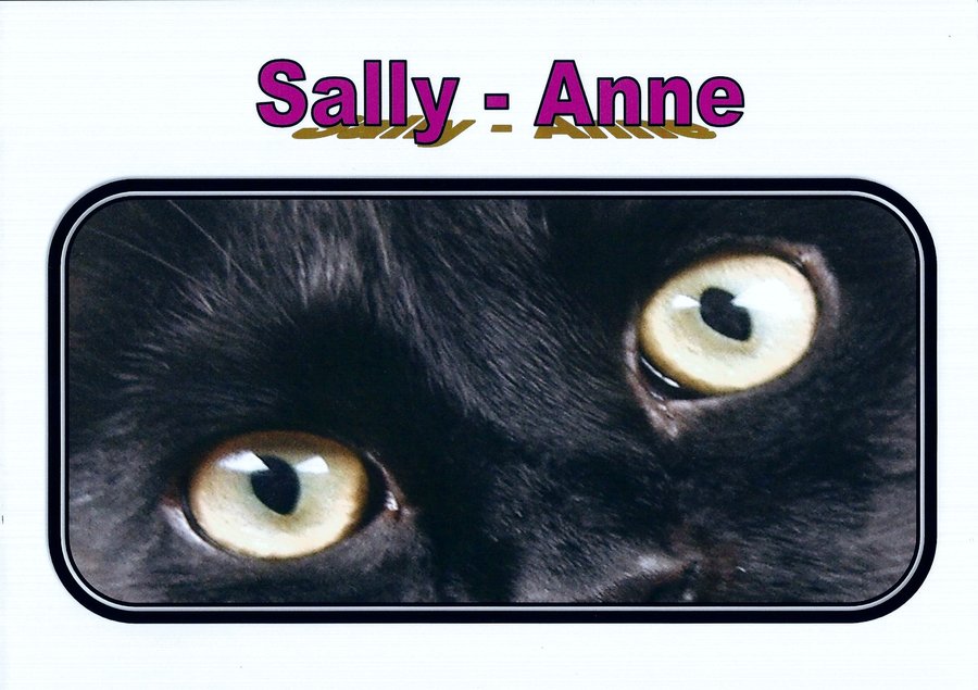 Sally - Anne eyes.jpg
