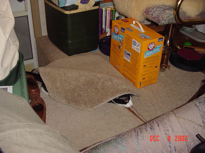 - Shelly helping reposition the throw rug.jpg