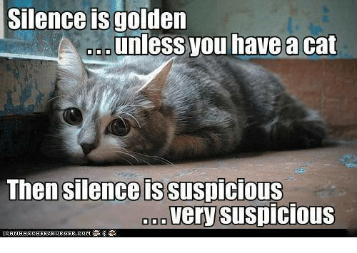 silence-is-golden-unless-you-have-a-cat-then-silen