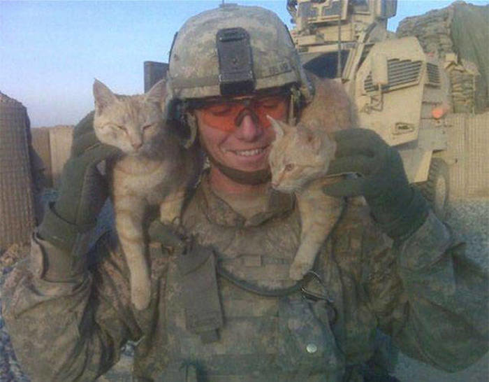 soldiers_and_cats_09.jpg