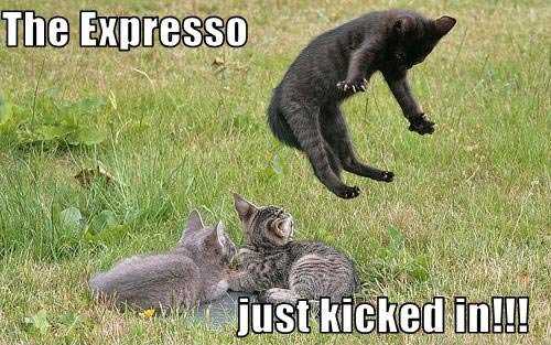 tasting-britain-espresso-cat-001.jpg