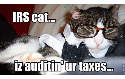 tax-cat.jpg